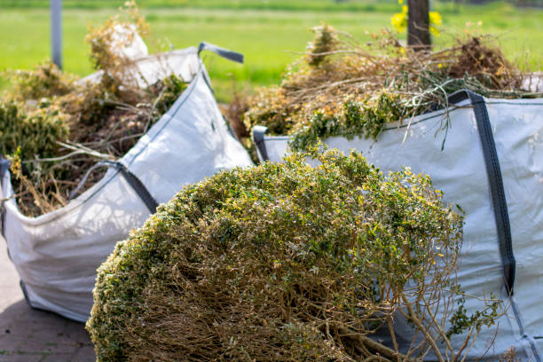 Junk Removal for Events in Fyffe, AL